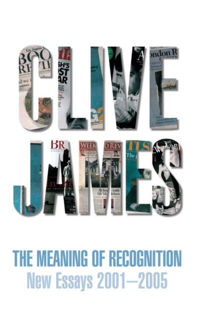 The Meaning of Recognition - Essays 2001-2005
