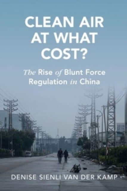 Clean Air at What Cost? - The Rise of Blunt Force Regulation in China