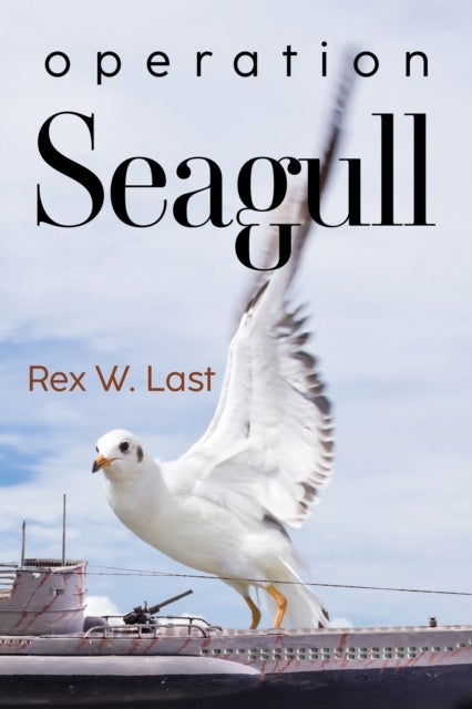 Operation Seagull