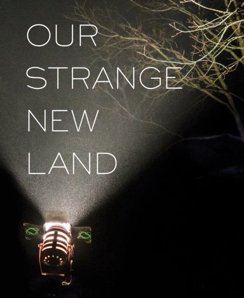 Our Strange New Land - Photographs from Narrative Movie Sets Across the South