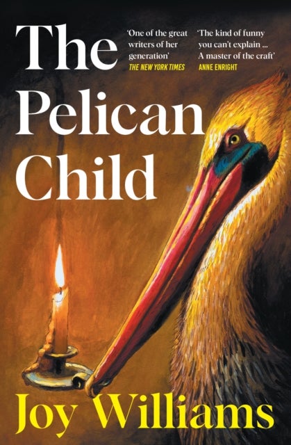 The Pelican Child - Longlisted for the 2025 National Book Award