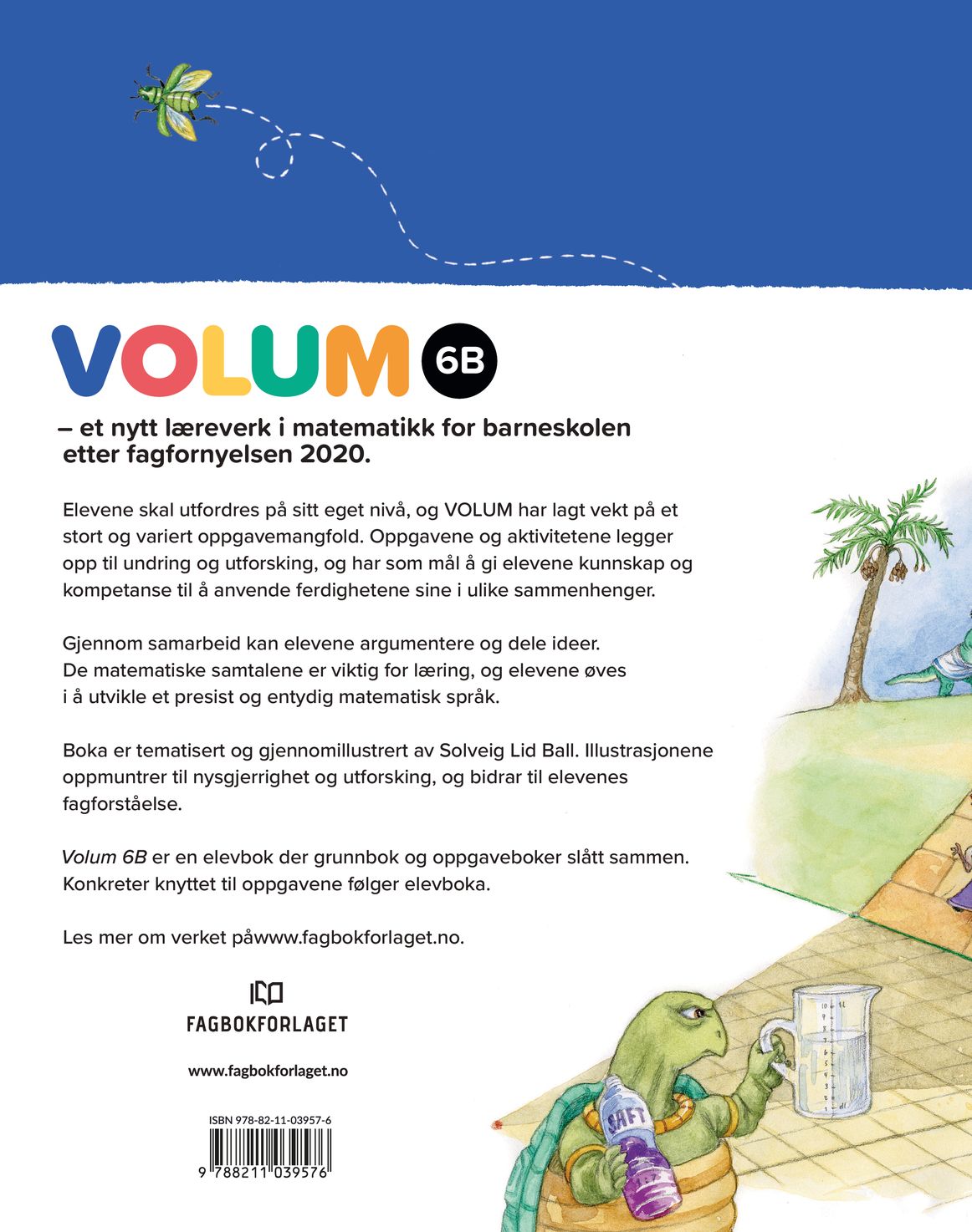Volum 6B
