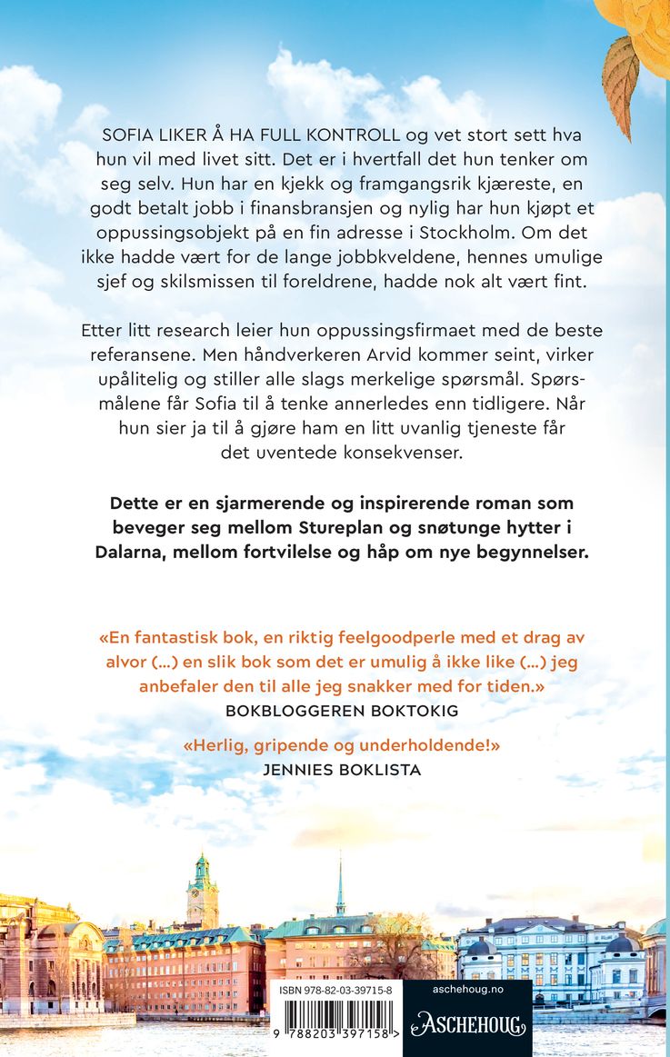 Liten toroms med potensial