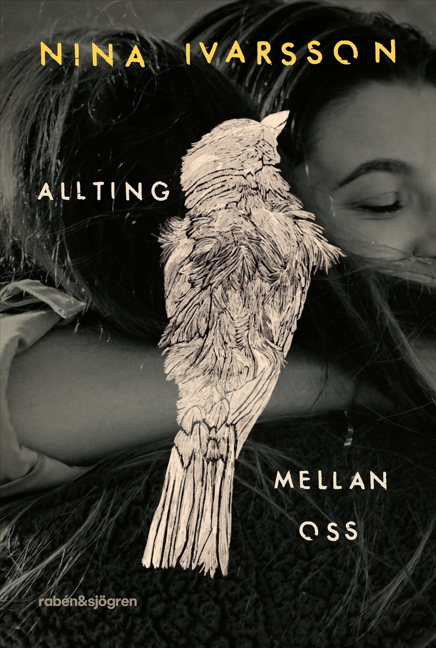 Allting mellan oss