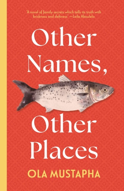 Other Names, Other Places - A dazzling novel of family, identity and self