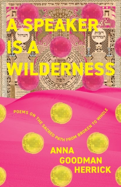 A Speaker is a Wilderness - Poems on the Sacred Path from Broken to Whole