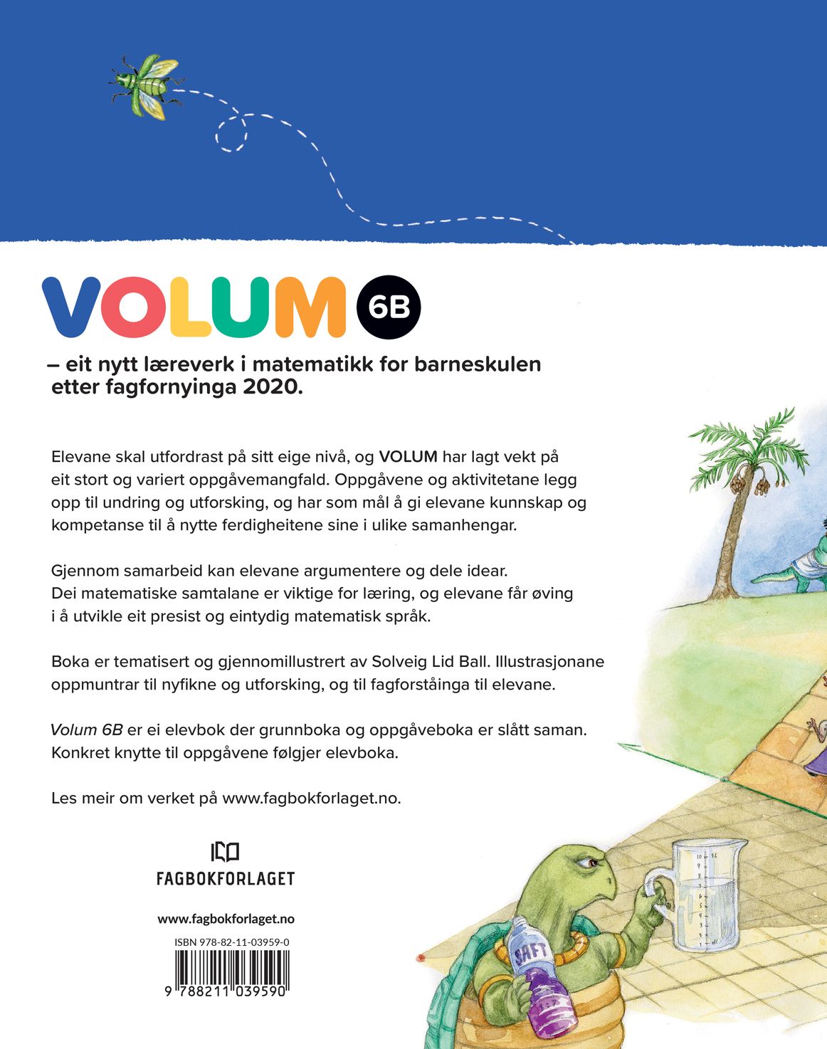 Volum 6B