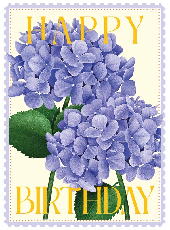 Kort Colourburst Hydrangeas