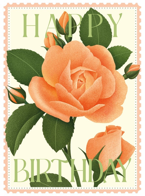 Kort Colourburst Roses