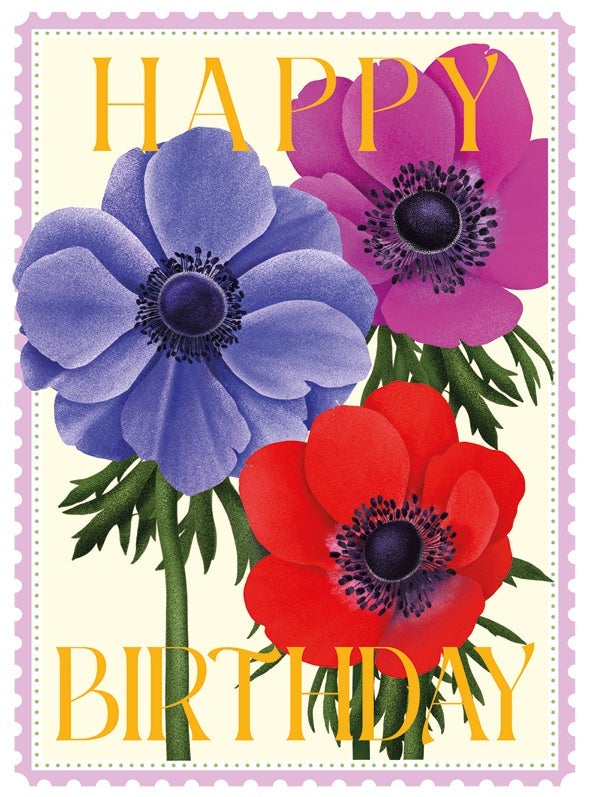 Kort Colourburst Anemones