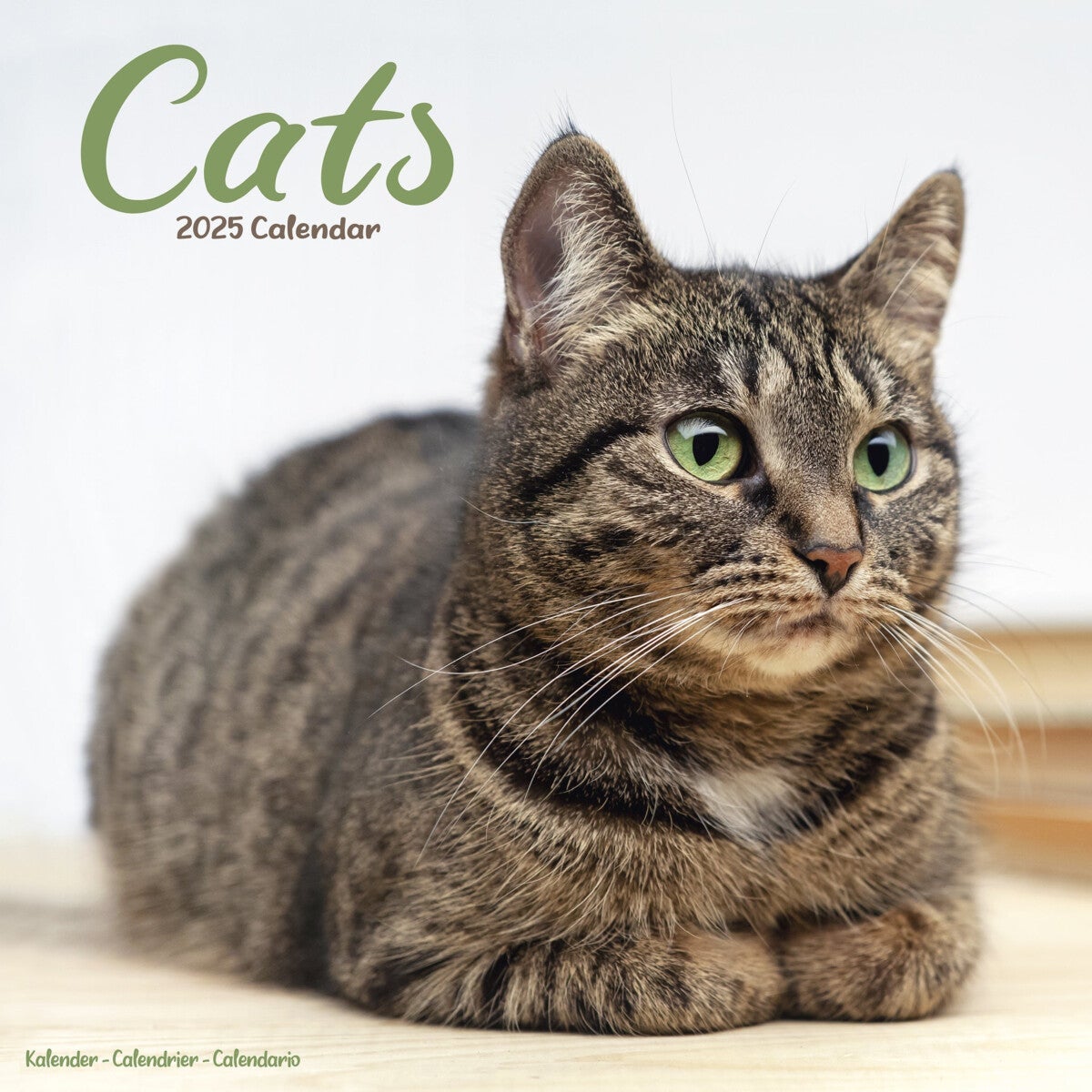 Kalender 2025 Cats 30x30cm
