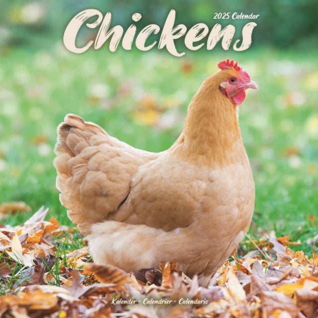 Kalender 2025 Chickens 30x30cm