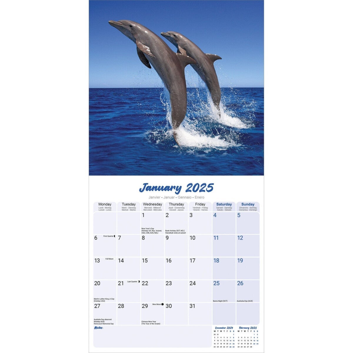 Kalender 2025 Dolphins 30x30cm