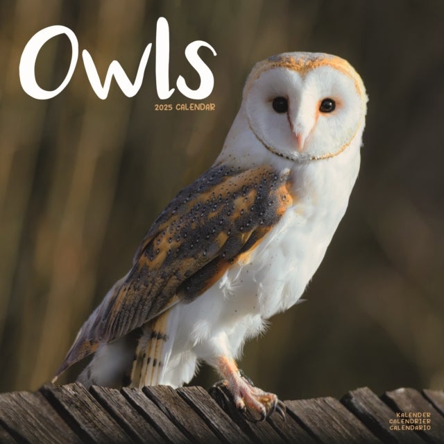 Kalender 2025 Owls 30x30cm