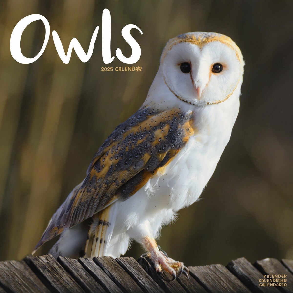 Kalender 2025 Owls 30x30cm