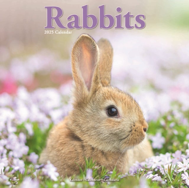 Kalender 2025 Rabbits 30x30cm