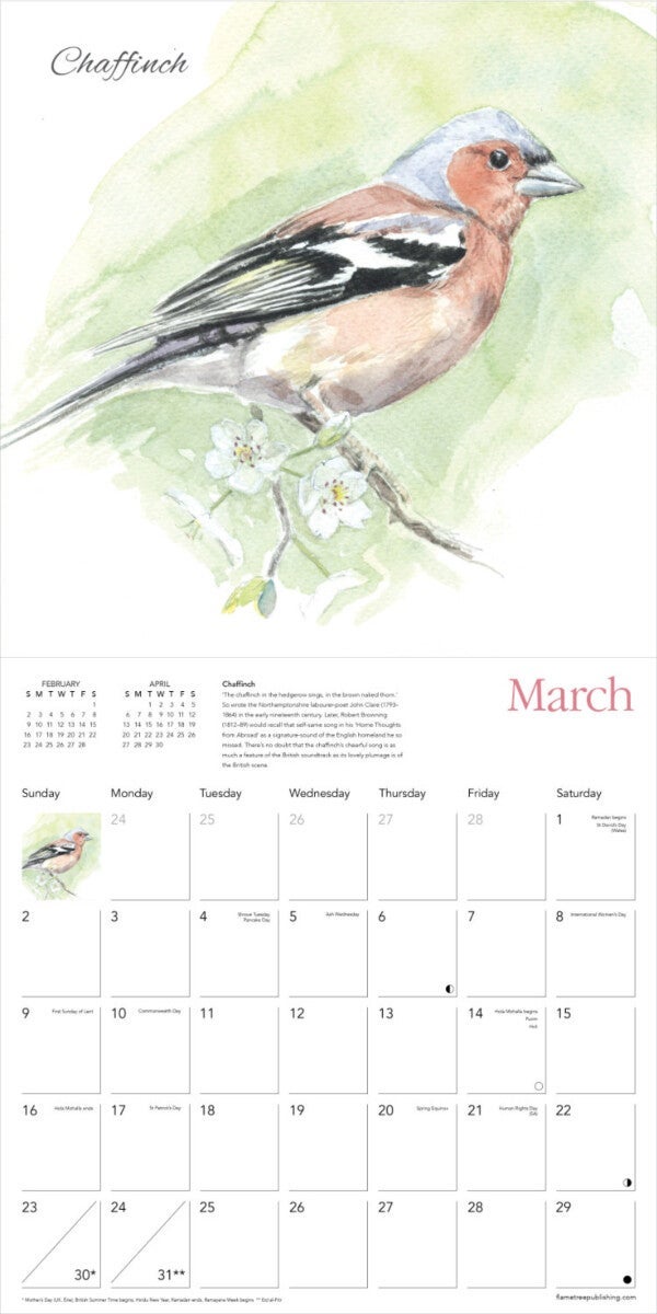 Kalender 2025 Garden Birds 30x30cm