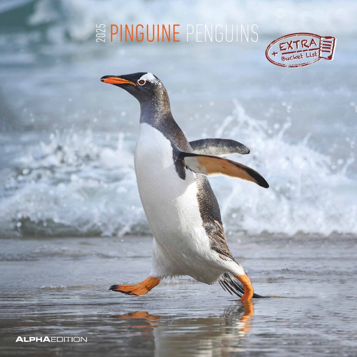 Kalender 2025 Penguins 30x30cm