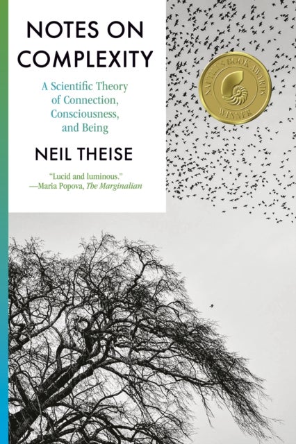 Notes on Complexity - A Scientific Theory of Connection, Consciousness, and Being
