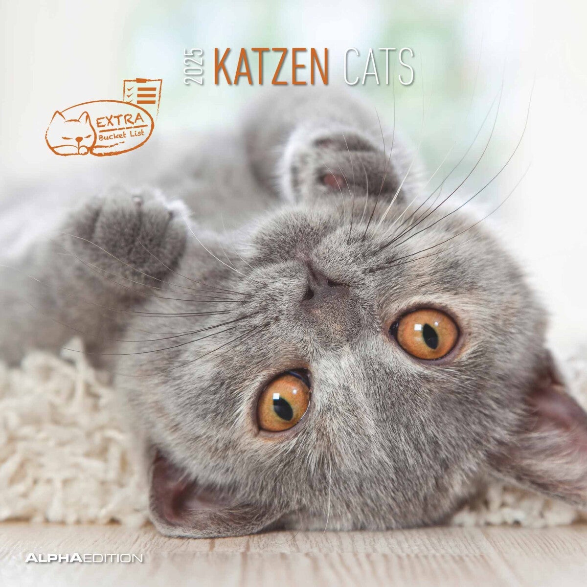 Kalender 2025 Cats 30x30cm