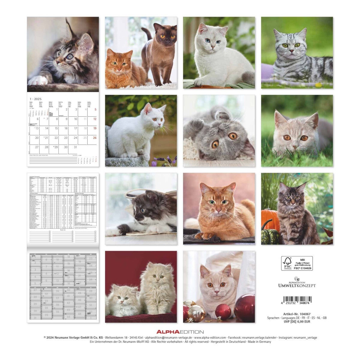 Kalender 2025 Cats 30x30cm