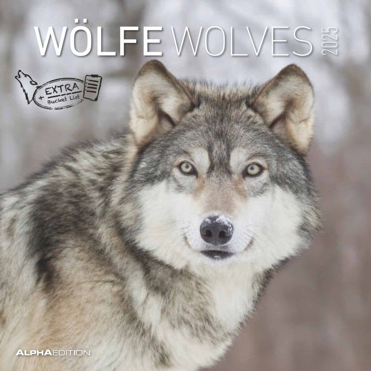 Kalender 2025 Wolves 30x30cm