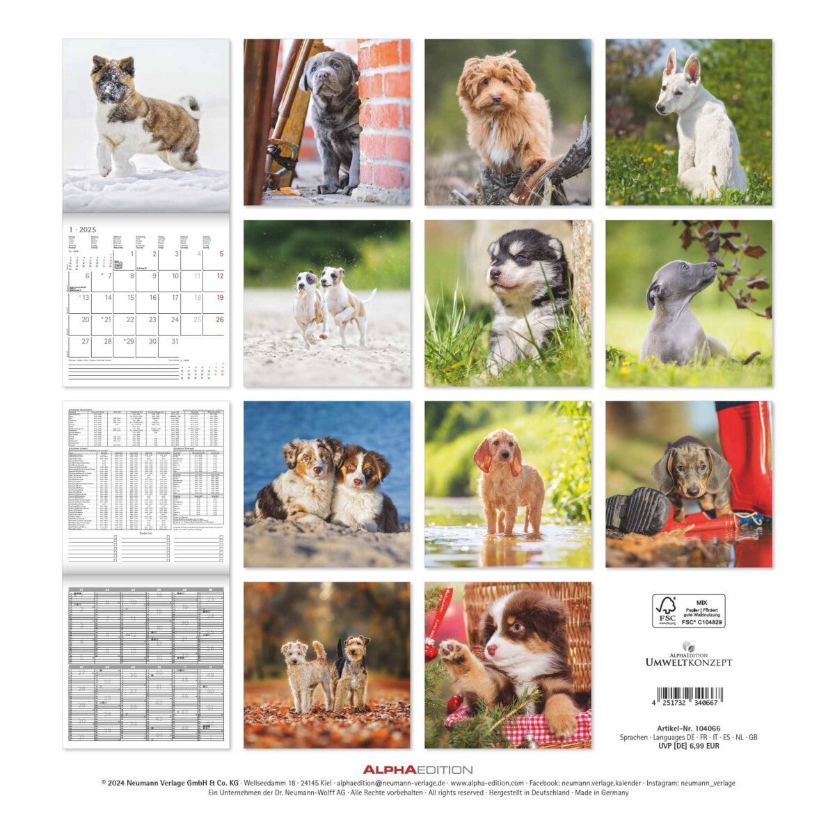 Kalender 2025 Puppies 30x30cm