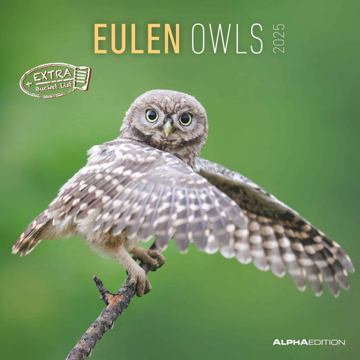 Kalender 2025 Owls 30x30cm