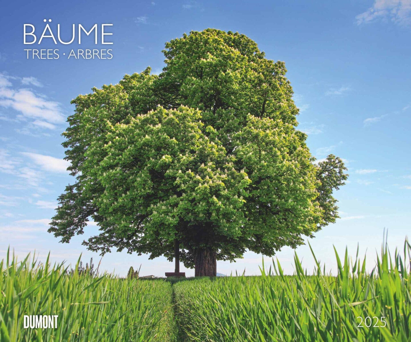 Kalender 2025 Trees 60x50cm
