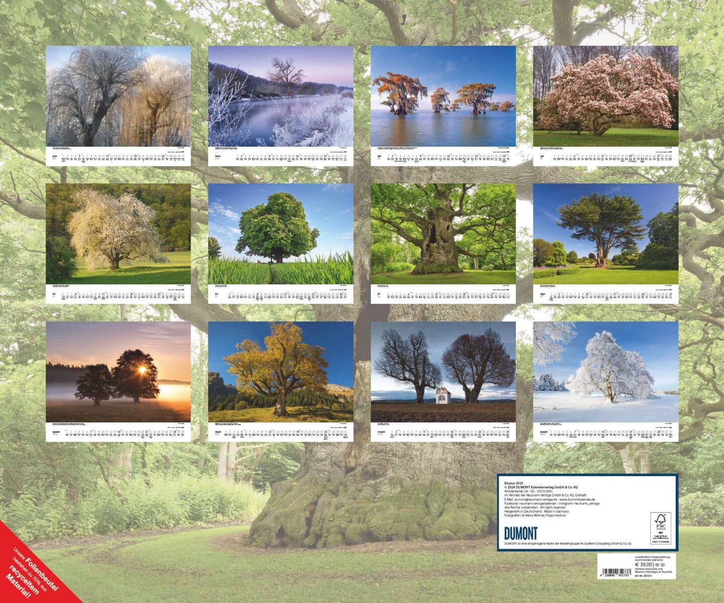 Kalender 2025 Trees 60x50cm