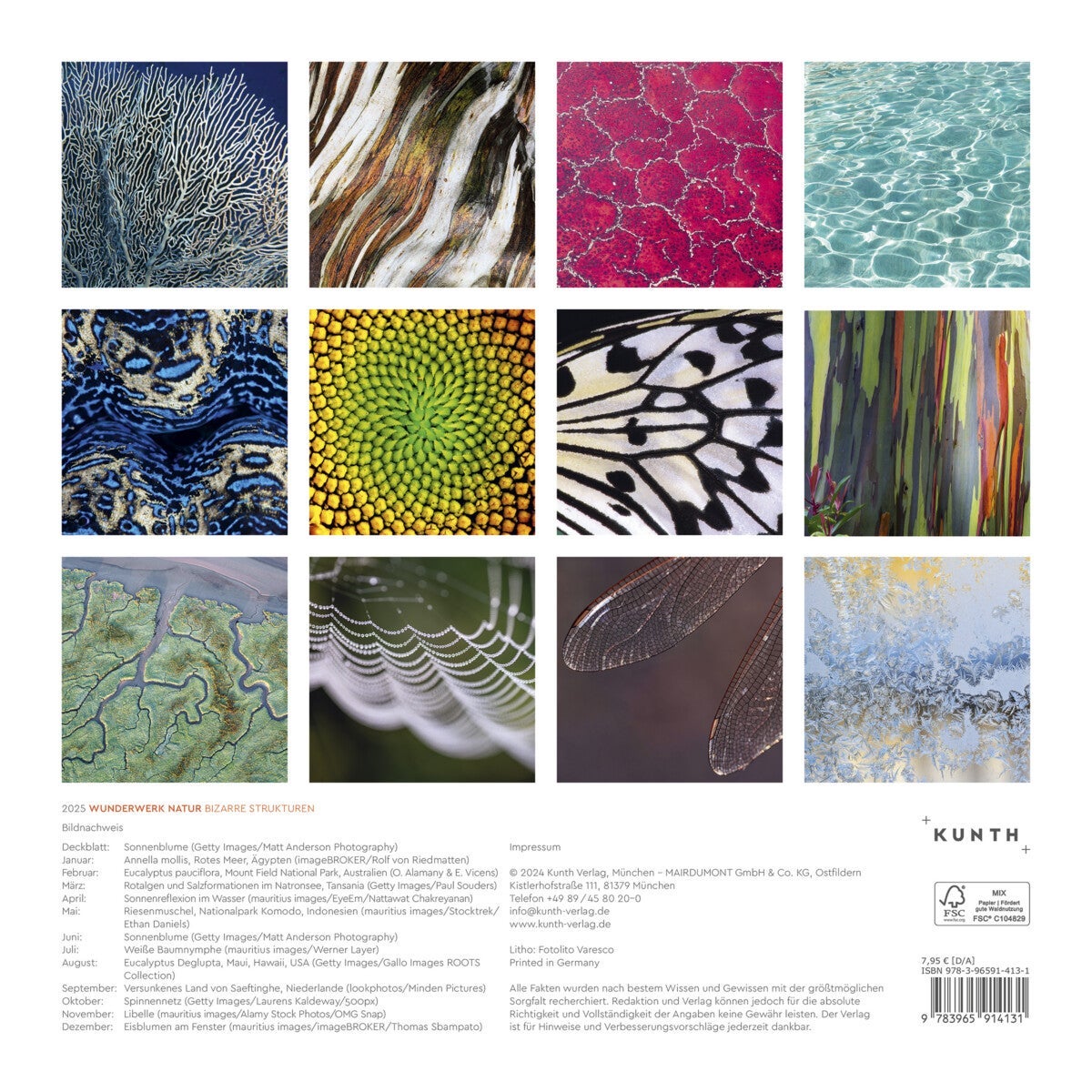 Kalender 2025 Marvel of Nature 30x30cm