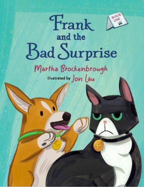 Frank and the Bad Surprise - Book 1