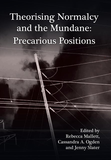 Theorising Normalcy and the Mundane - Precarious Positions