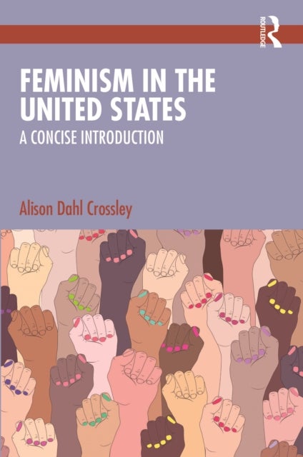 Feminism in the United States - A Concise Introduction