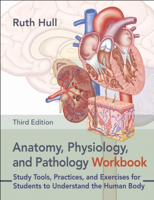 Anatomy, Physiology, and Pathology Workbook - Study Tools, Practices, and Exercises for Students to Understand the Human Body