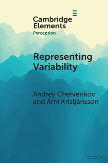 Representing Variability - How Do We Process the Heterogeneity in the Visual Environment?