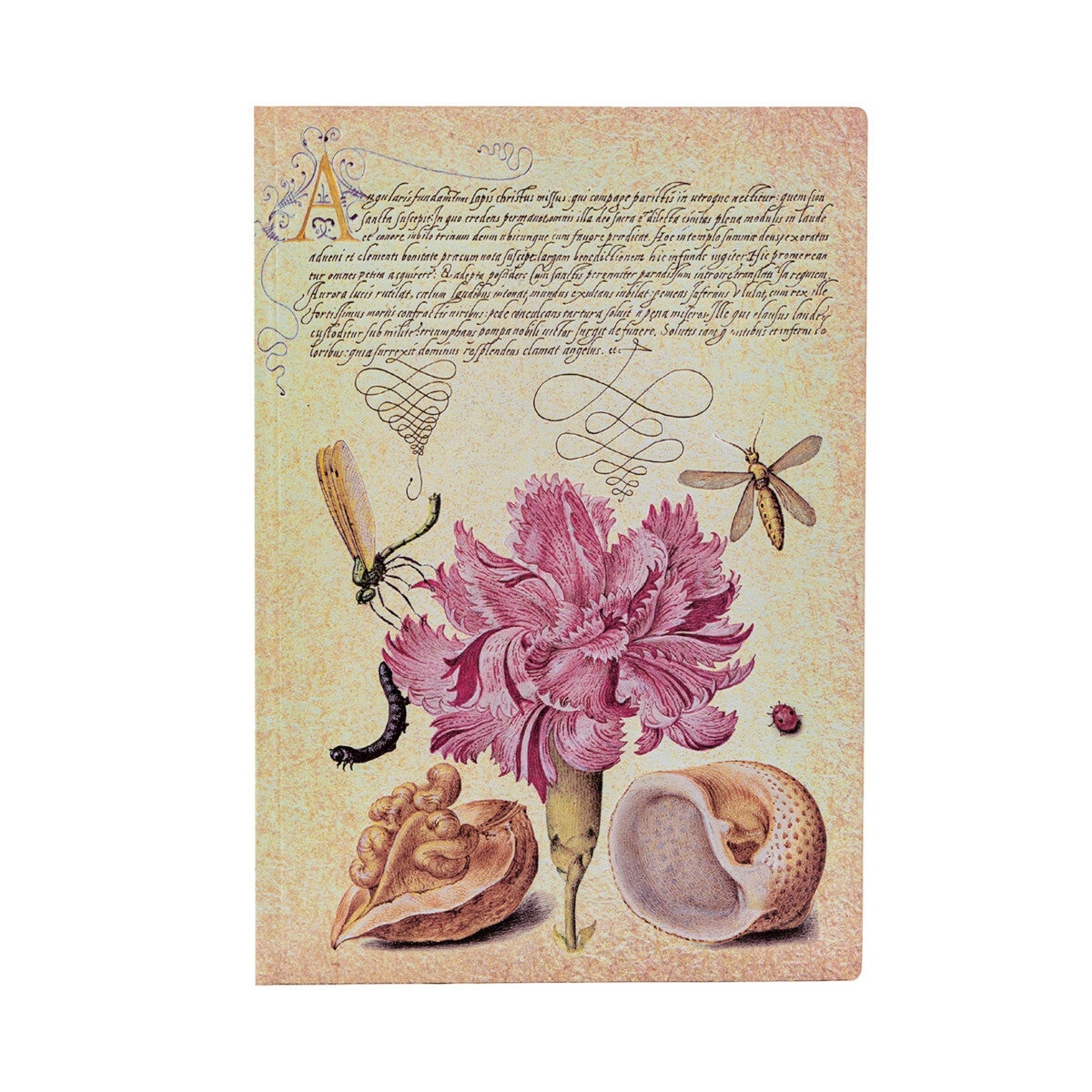 Notatbok Paperblanks Pink Carnation midi ulin