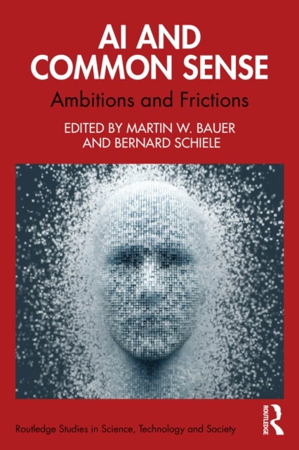AI and Common Sense - Ambitions and Frictions