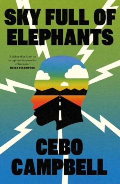 Sky Full of Elephants - A Novel