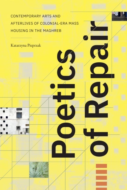 Poetics of Repair - Contemporary Arts and Afterlives of Colonial-Era Mass Housing in the Maghreb
