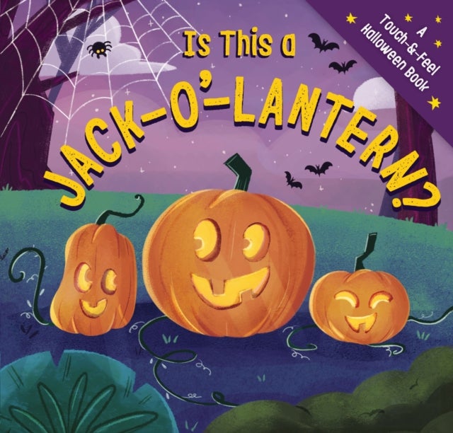 Is This a Jack-O'-Lantern? - A Touch and   Feel Halloween Book