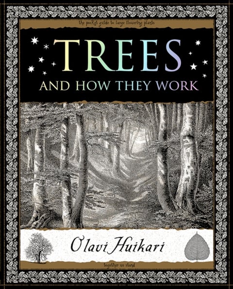 Trees - And How They Work