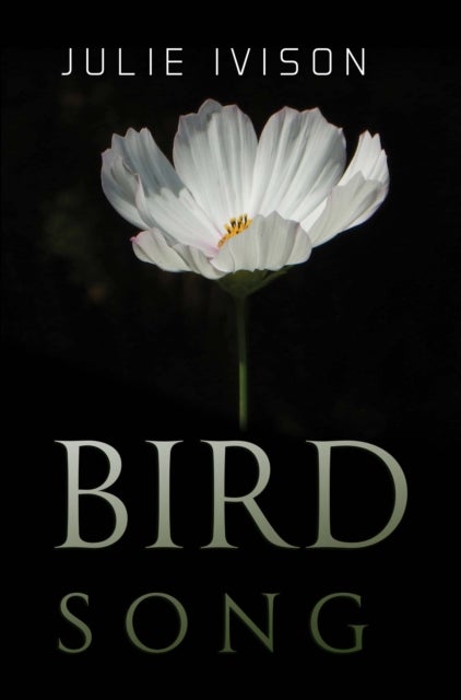 Bird Song