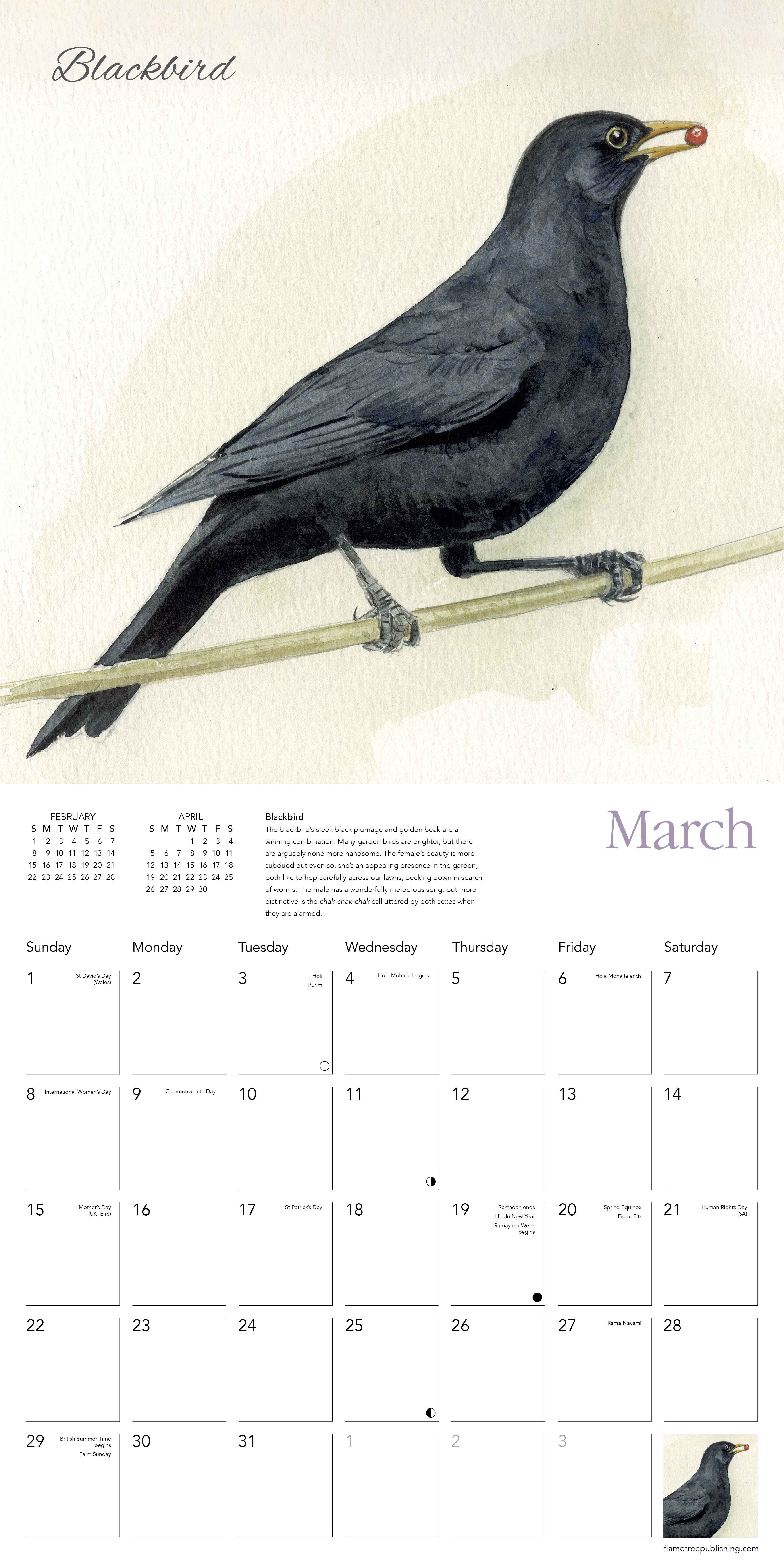 Kalender 2026 30x30 C Pendletons Birds