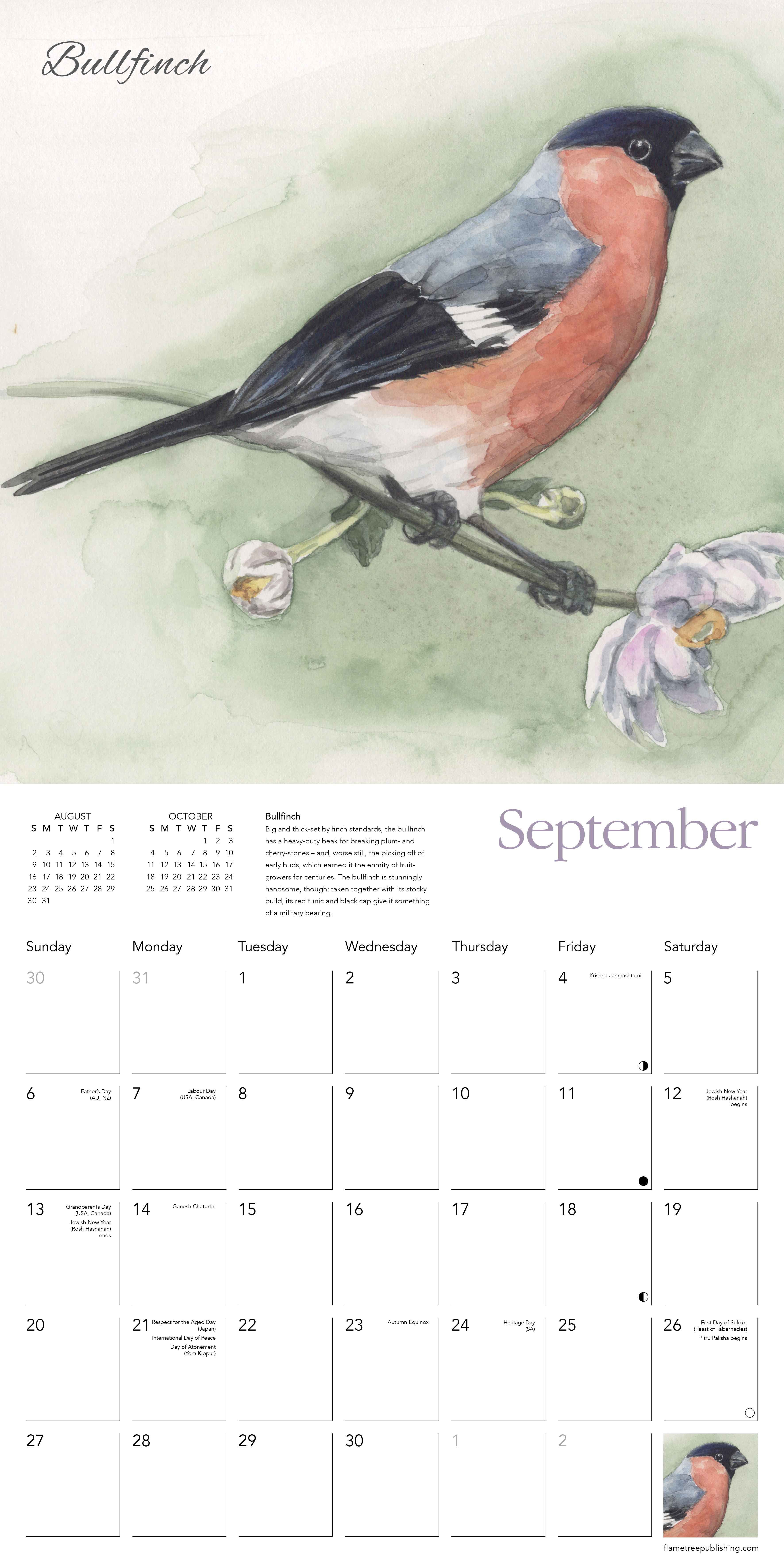 Kalender 2026 30x30 C Pendletons Birds