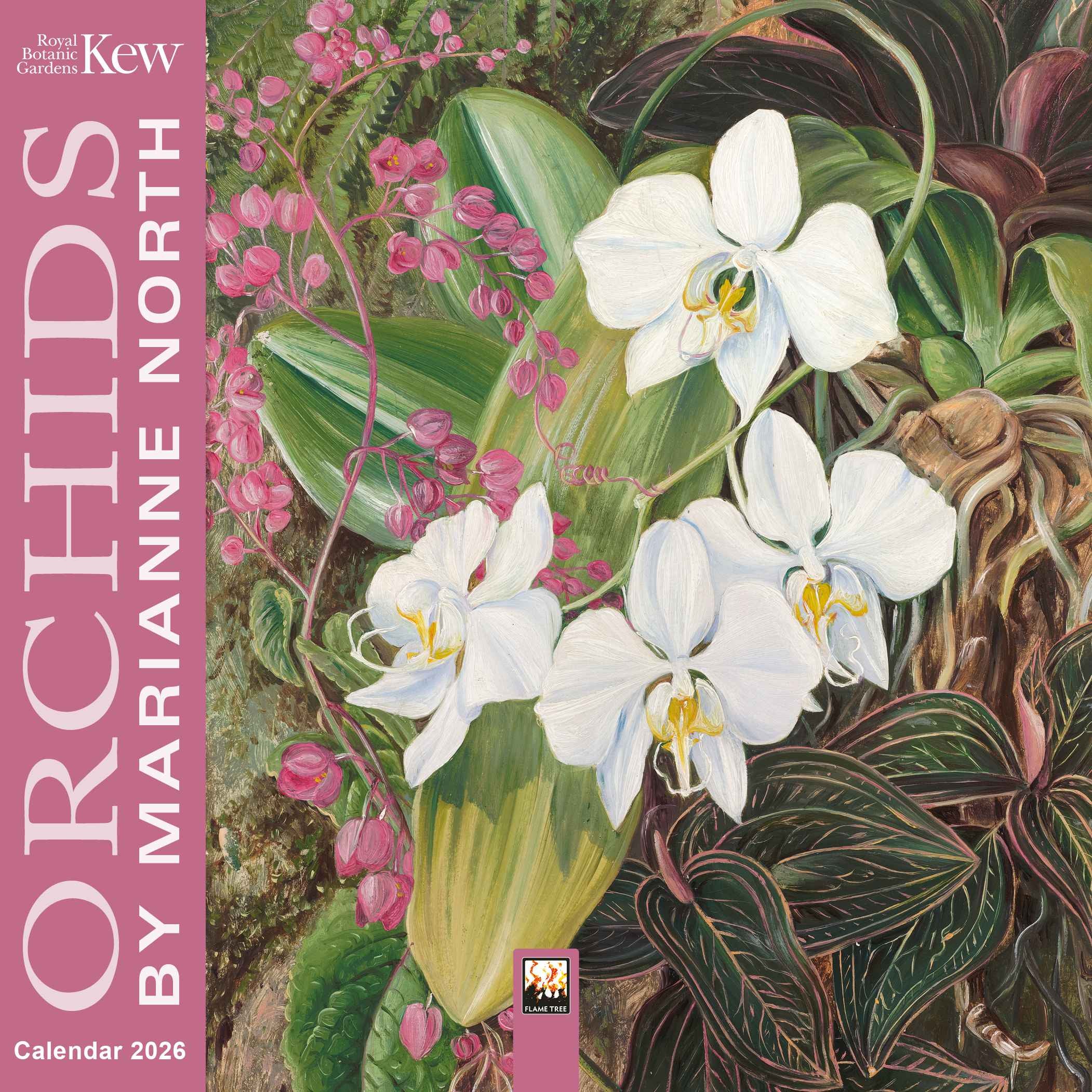 Kalender 2026 18x18 Orchids
