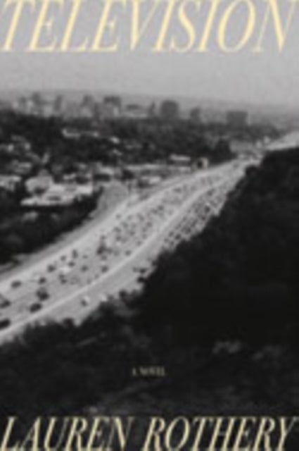 Television - A Novel