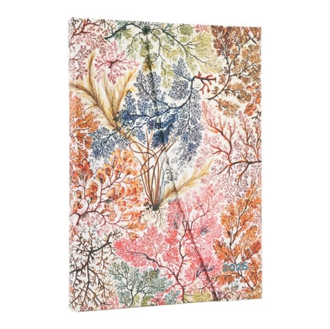 Kalender Paperblanks 2026 12m midi Anemone