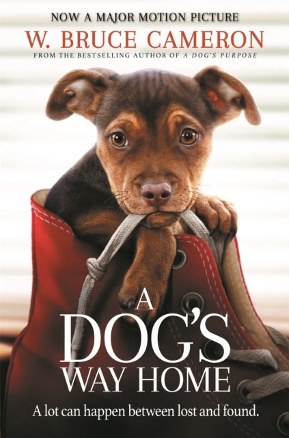 A Dog's Way Home - The Heartwarming Story of the Special Bond Between Man and Dog