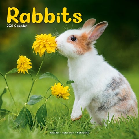 Kalender 2026 30x30 Rabbits
